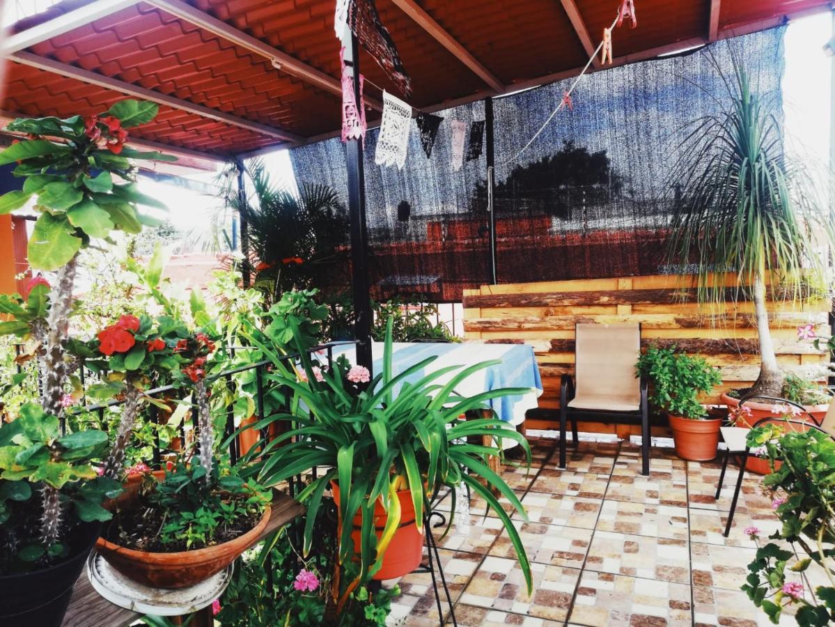 El Rincón de Doña Bety Oaxaca Exterior foto